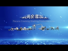 Intelligente Pecannoten die Schillend Productielijn barsten