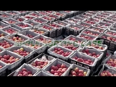 Apple-Sorteermachine