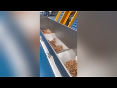 Multi-Grade Walnut Kernel Sorting Machine met AI