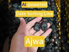 Smart Dates sorteren machine-Ajwa sorteren geval