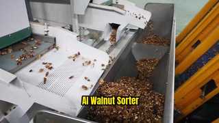 AI Sorter voor walnootpitten| 1 Het behalen van 8 graden ②